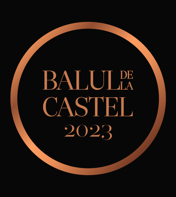 Balul de la Castel - Editia a X-a - 14 iunie 2023